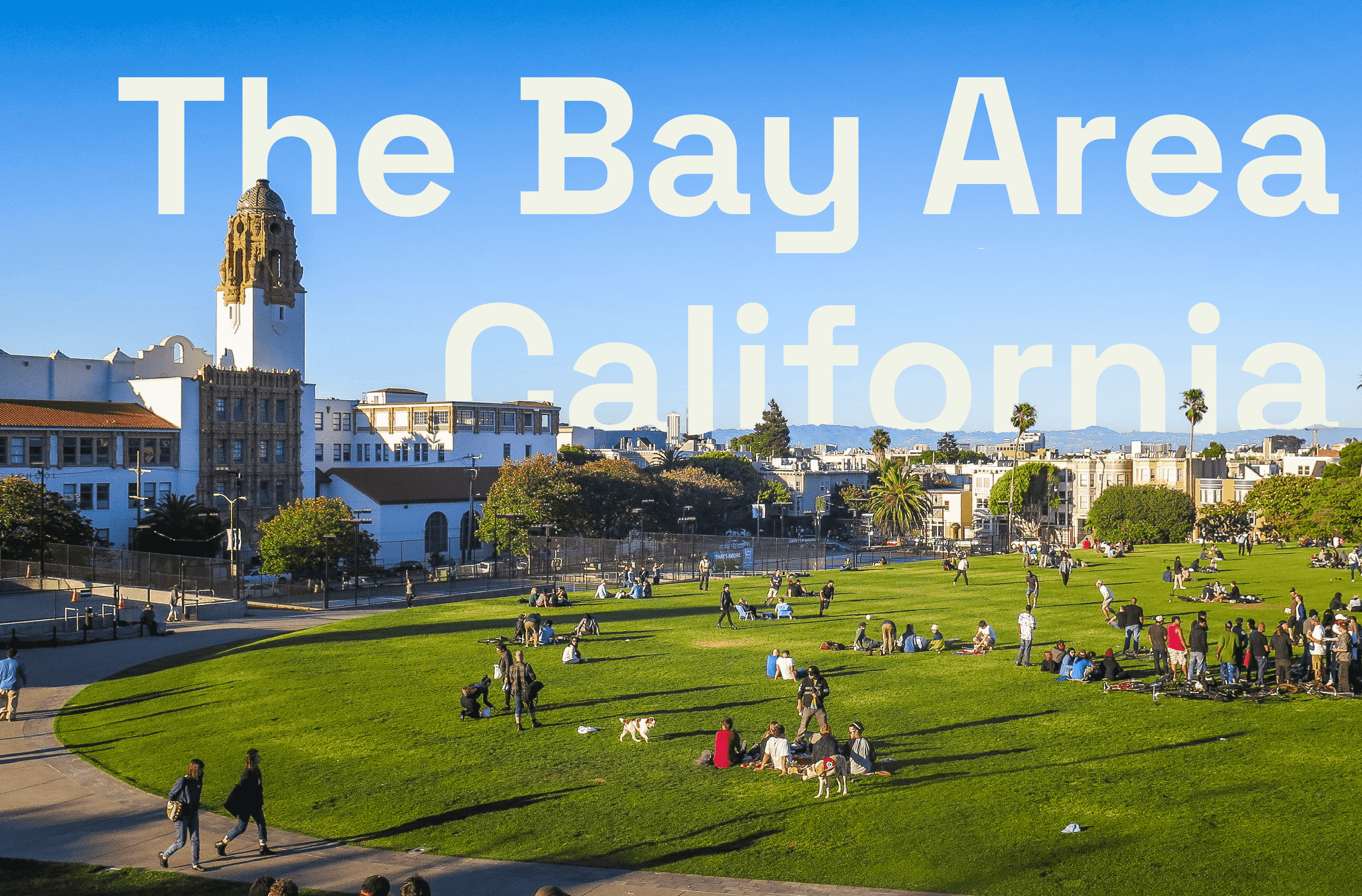 Bay Area Image