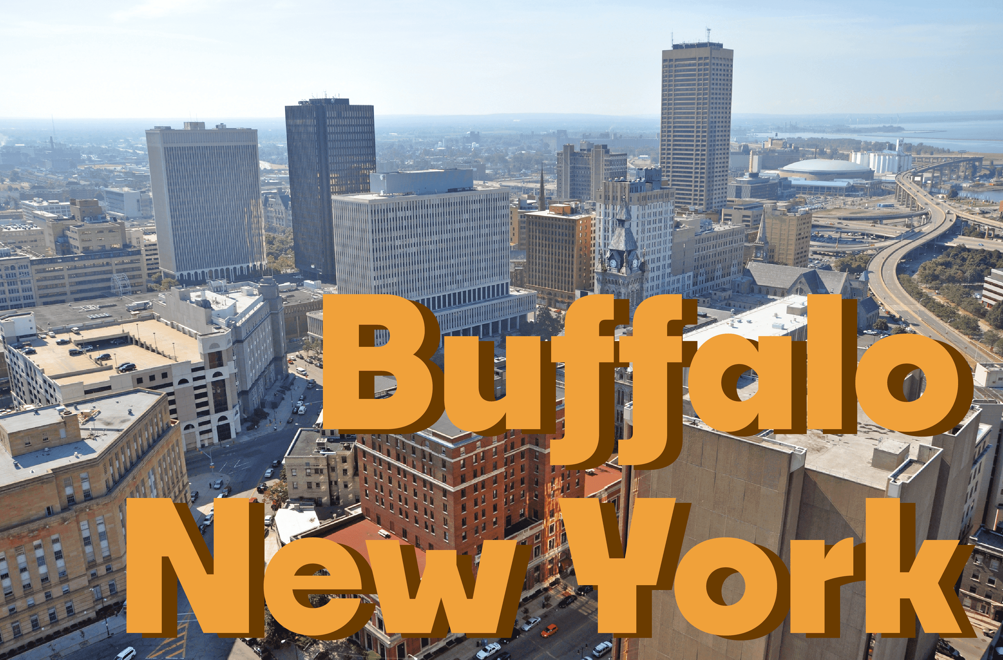 Buffalo Image