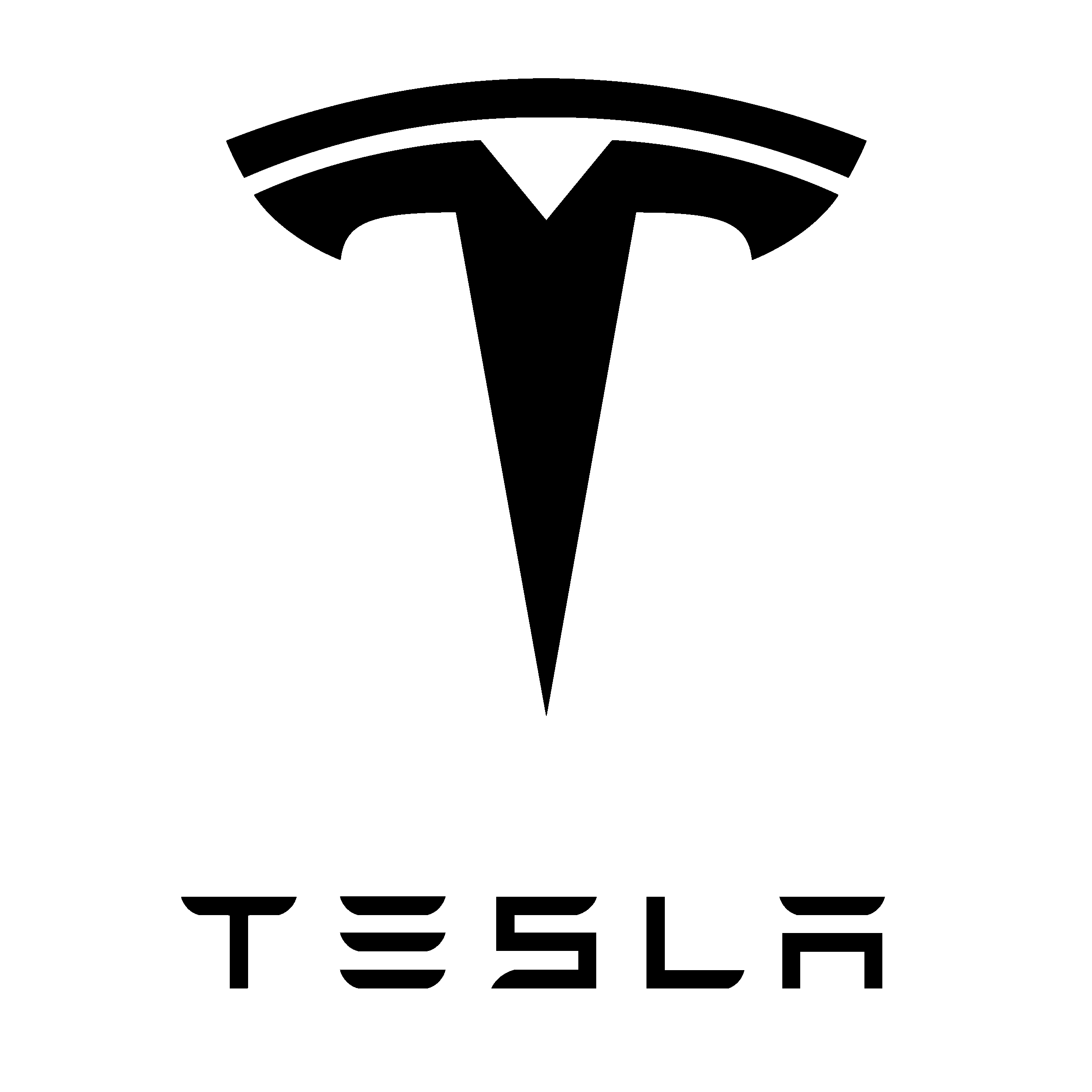 Tesla Company Logo
